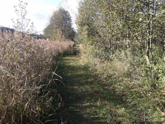 Участок земли под организацию агроусадьбы: Минская область, Логойский район, 90 км от МКАД