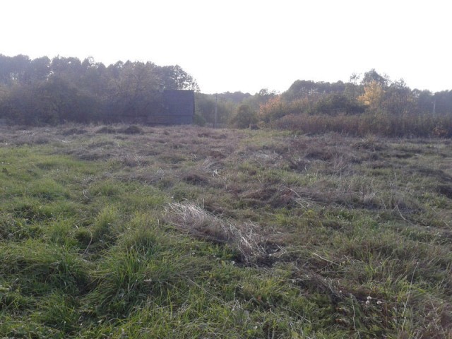 Участок земли под организацию агроусадьбы: Минская область, Логойский район, 90 км от МКАД