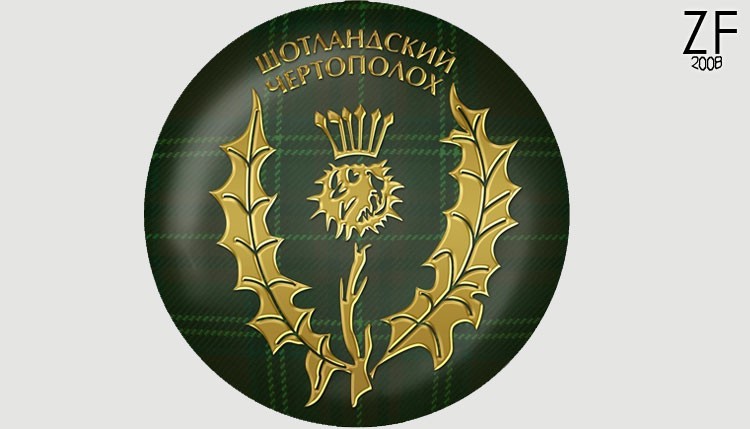 Шотландский Чертополох 2015