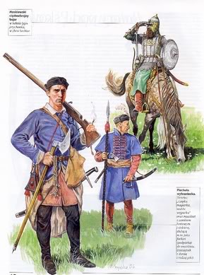 Польская (литовская, угорская) пехота (пехота национального набора)