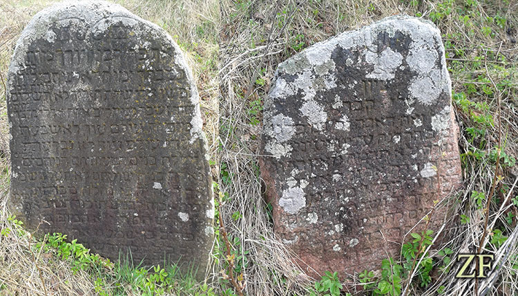 Остатки еврейского кладбища на берегу реки Крейщанка, возле деревни Крайск